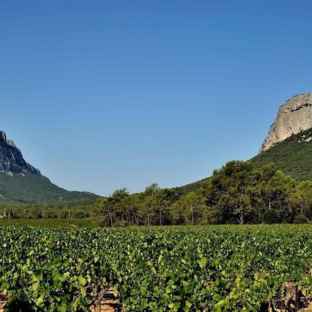 Gite Du Pic Saint Loup Valflaunes Kültér fotó