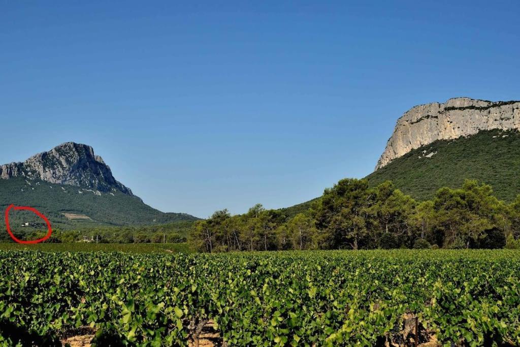 Gite Du Pic Saint Loup Valflaunes Kültér fotó